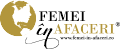 Femei In Afaceri E-Commerce