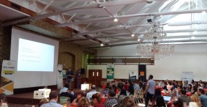 Matei Psata - workshop